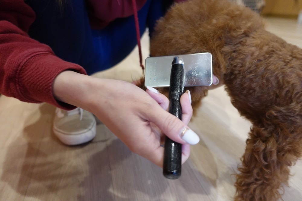 画像に alt 属性が指定されていません。ファイル名: DSC00100.jpg