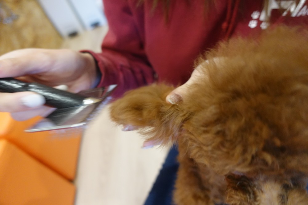 画像に alt 属性が指定されていません。ファイル名: DSC00115.jpg