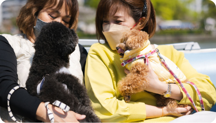 オビディエンス