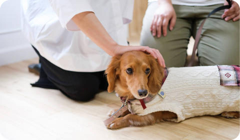 事前カウンセリング