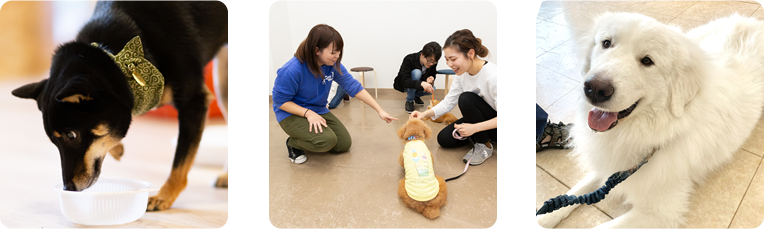 グループレッスン02