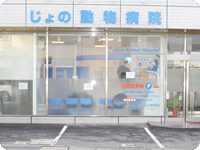 じょの動物病院