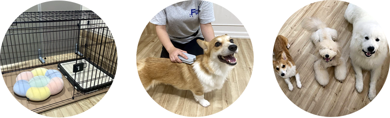 FREEWANのホテル・一時預かり