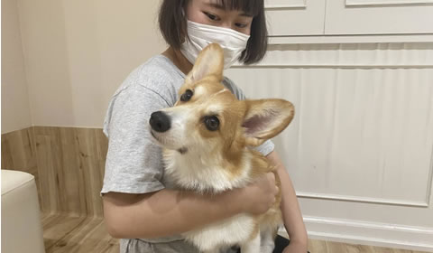 チェックアウト