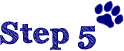step5