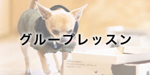 グループレッスン