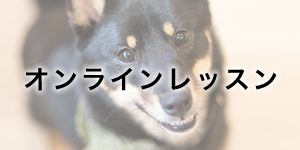 オンラインレッスン
