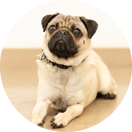 訪問レッスンのメリット