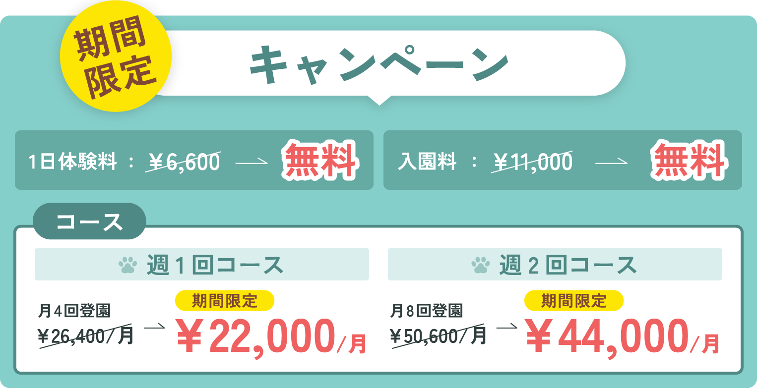 オープン記念 体験料￥6,600→無料！